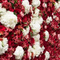 Red and white flower wall at wedding