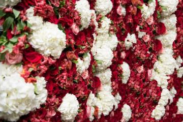 Red and white flower wall at wedding