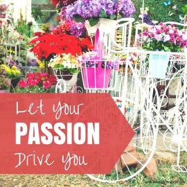 Let Your Passion Drive You