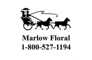 Marlow Floral