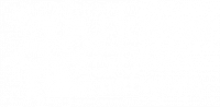 Flower Shop Network